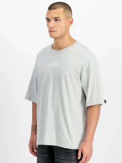 Alpha Industries Herren T-Shirt in hellgrau