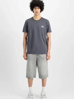 Alpha Industries Herren T-Shirt in grau