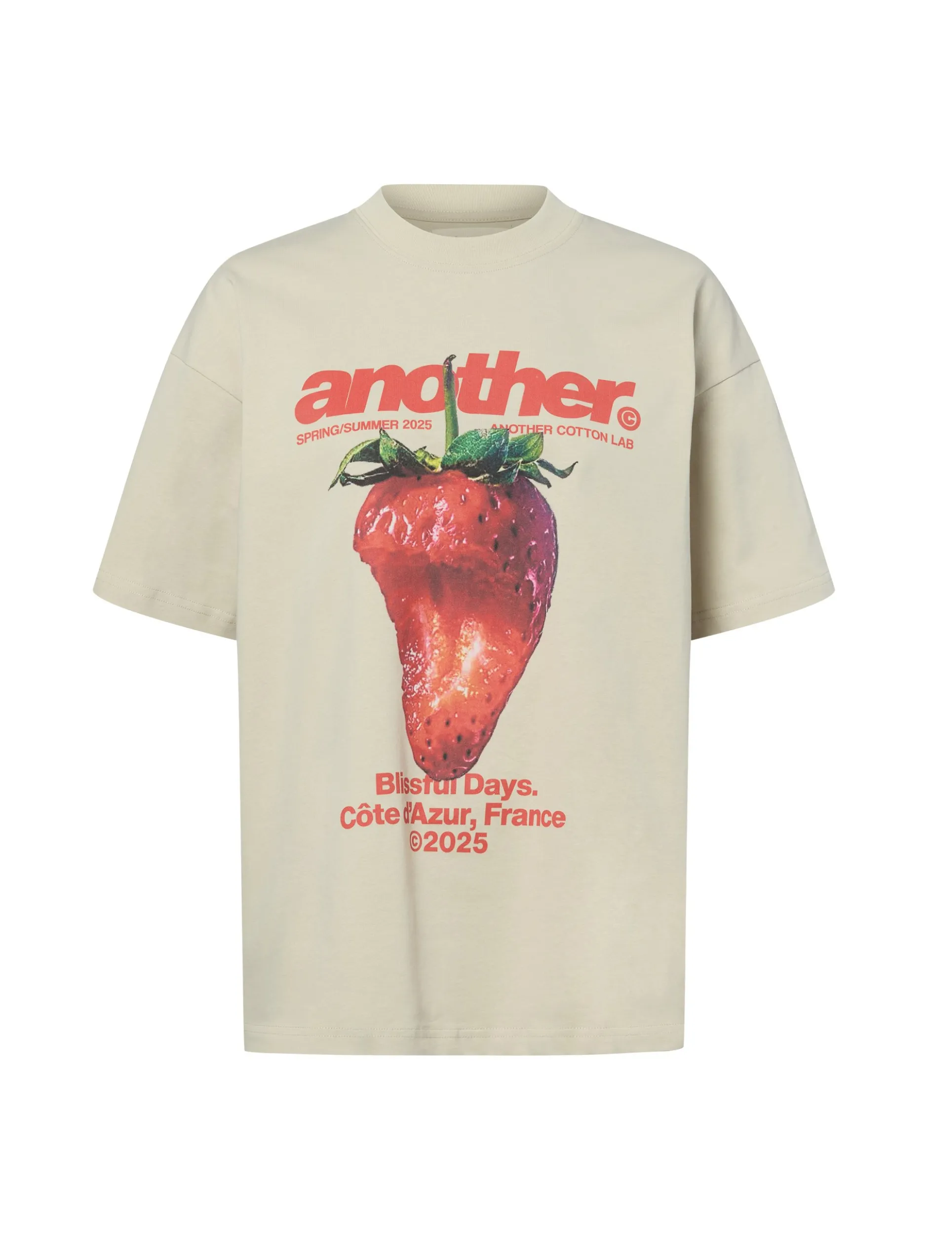 Another Cotton Lab Damen T-Shirt - Blissful Days in beige rot