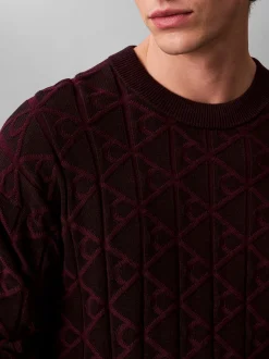 Calvin Klein Jeans Herren Strickpullover in schwarz