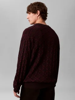 Calvin Klein Jeans Herren Strickpullover in schwarz