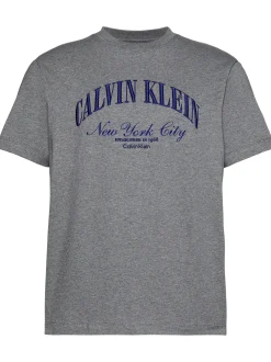 Calvin Klein Jeans Herren T-Shirt in grau royal