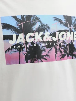 Jack & Jones Herren T-Shirt - JJIndiana in hellgrau