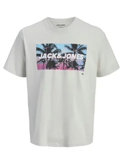 Jack & Jones Herren T-Shirt - JJIndiana in hellgrau