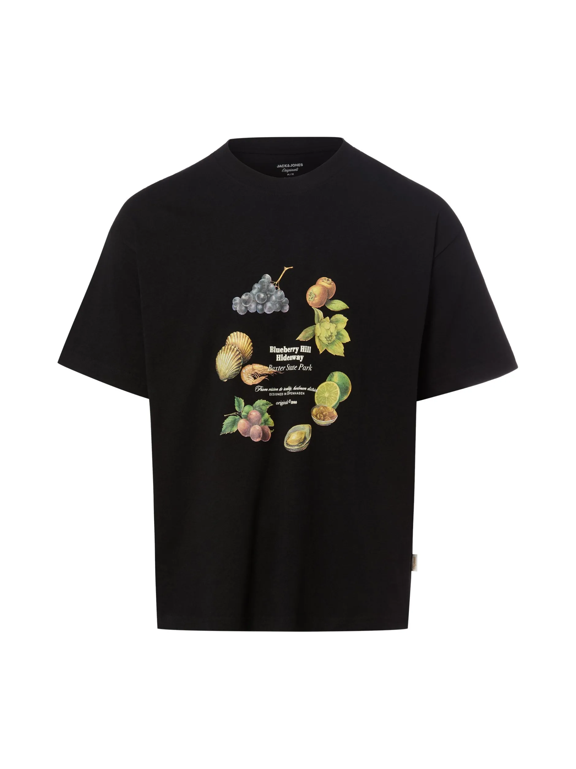 Jack & Jones Herren T-Shirt - JORmaine in schwarz