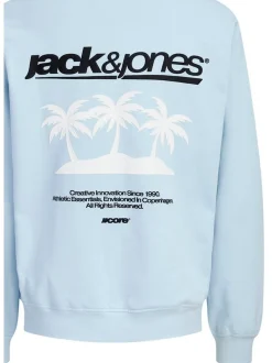 Jack & Jones Junior Jungen Sweatshirt in hellblau