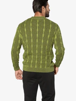 Jan Vanderstorm Herren Pullover - AKSELHEIM in grün