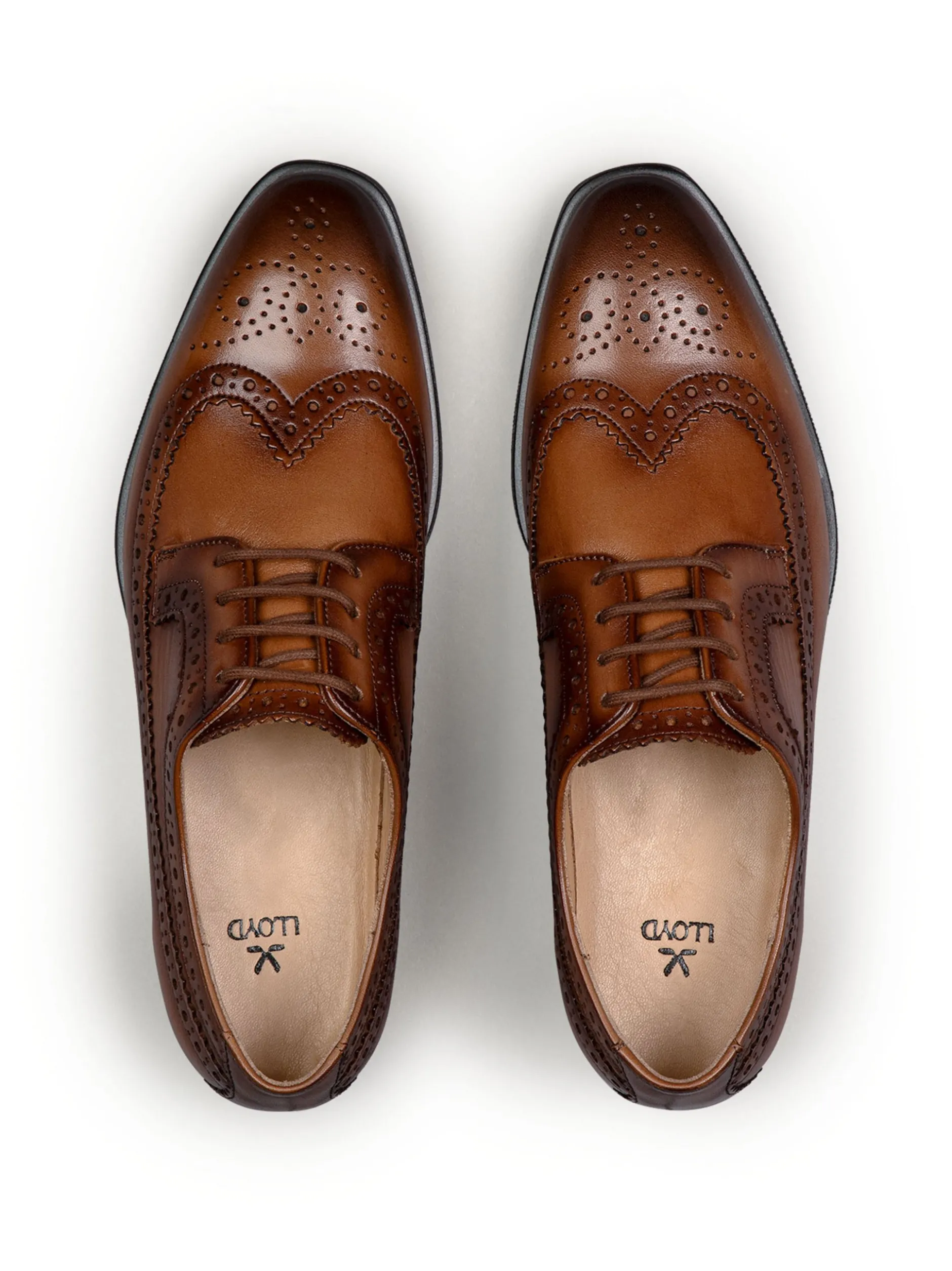 Lloyd Damen Schnürschuh in cognac