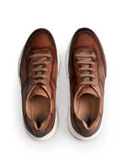 Lloyd Herren Sneaker - ECHO LUXE in cognac - 0 cm Absatz