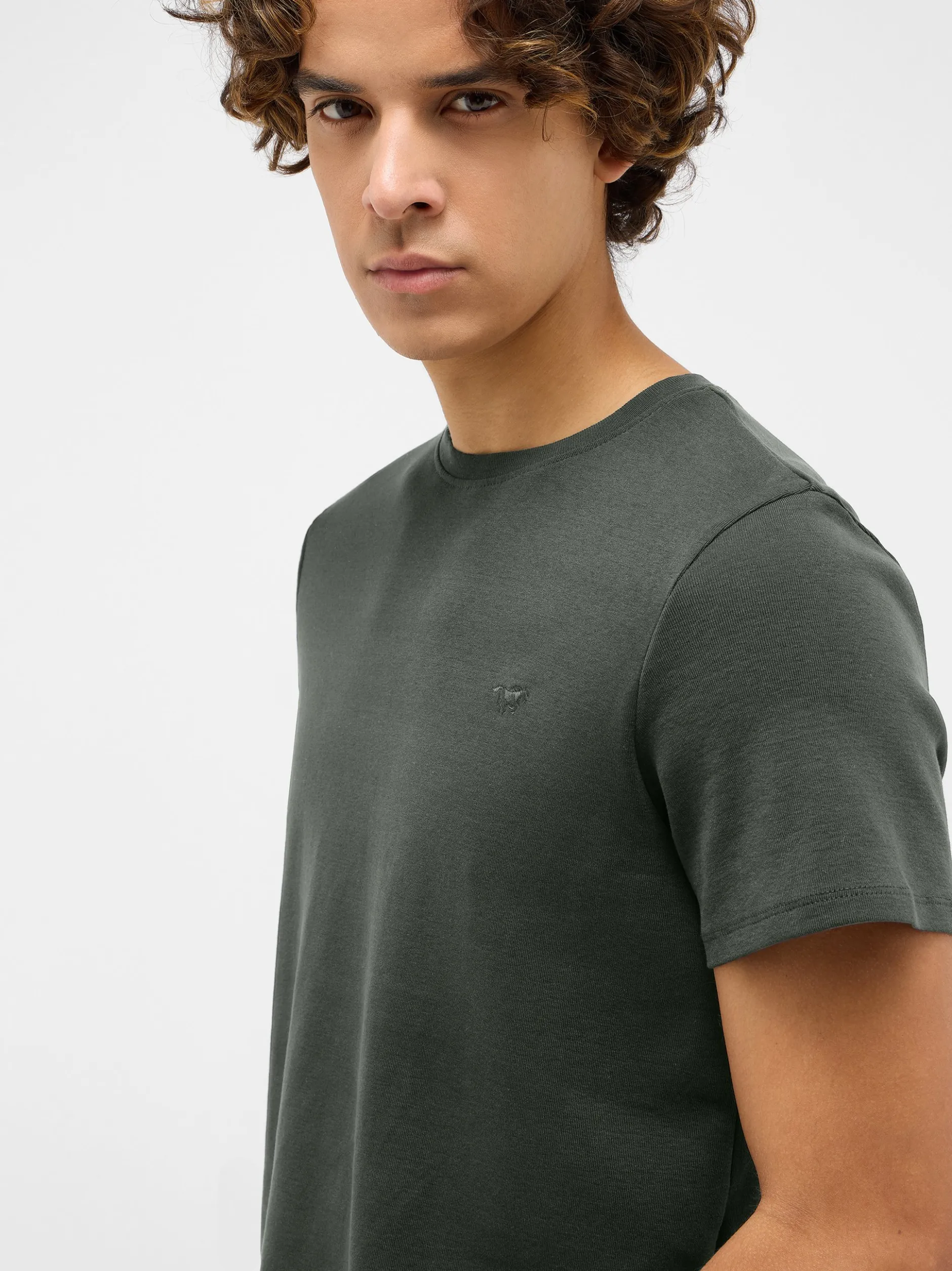 Mustang Herren T-Shirt in oliv - Ausschnitt: Rundhals