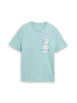 Tom Tailor Denim Herren T-Shirt in mint - Ärmel: kurzarm